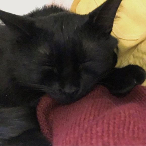 Meet your Posher, Kiara/Kieran - Picture 3 of 7